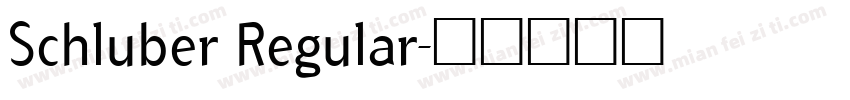 Schluber Regular字体转换